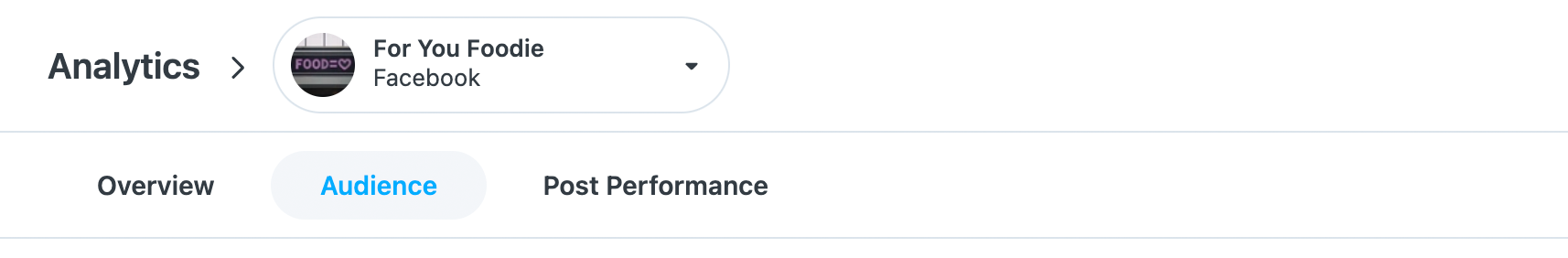facebook-analytics_audience.png
