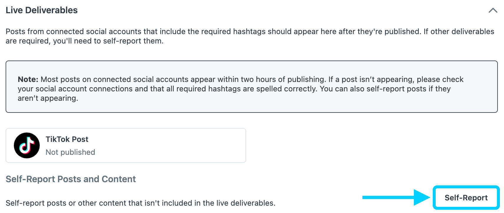 self-report-tiktok.png