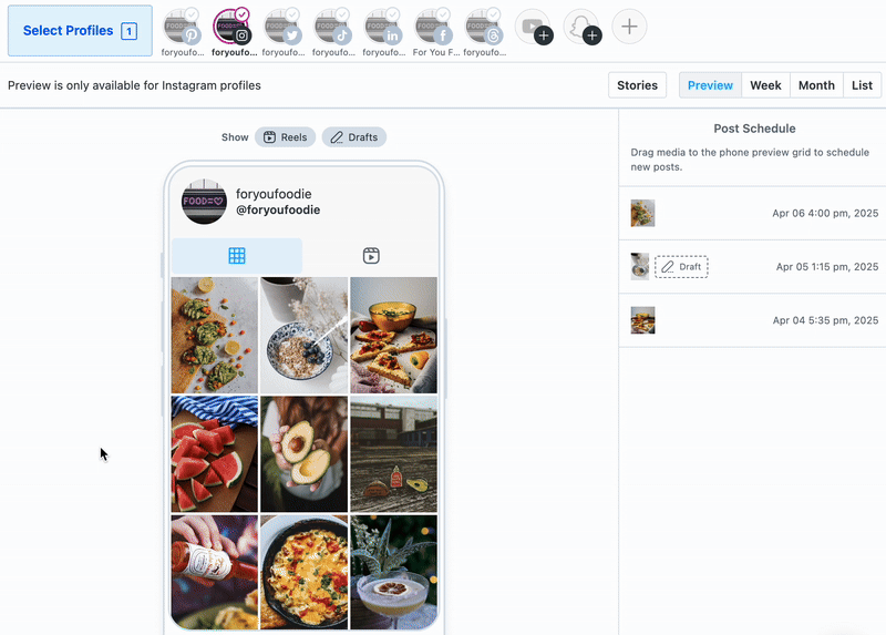 visual-instagram-planner-demo.gif